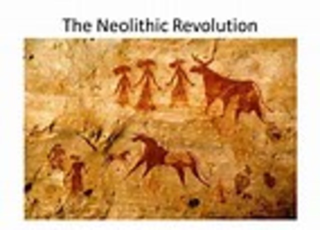 Neolithic Revolution
