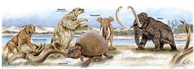 Fauna prehistórica en el occidente de México.