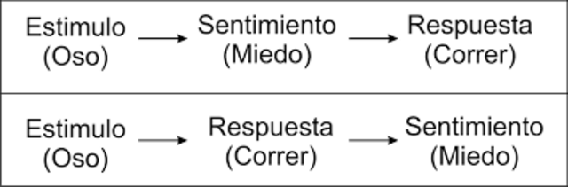 Teoria de Lange ¿Lloramos porque estamos tristes o estamos tristes porque lloramos?