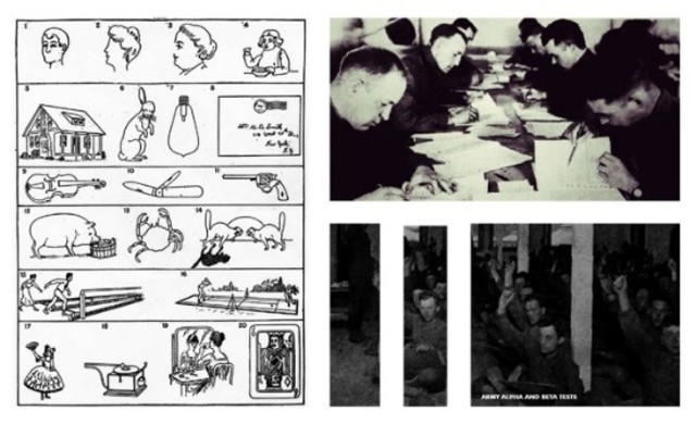 (Robert Mearns Yerkes)