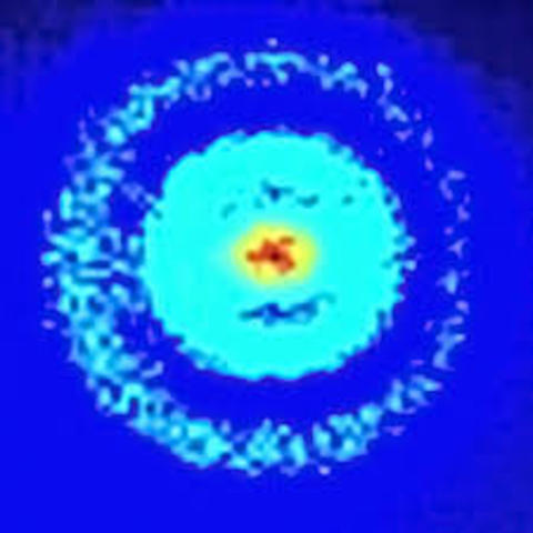 Hasta nuestros días