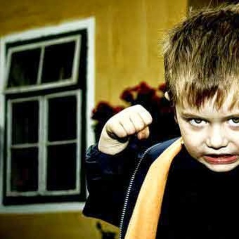 Clínica de la Conducta