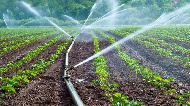 Calles apoya sectores