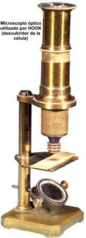 MICROSCOPIO ELECTRONICO