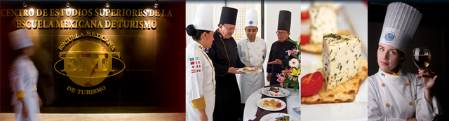 Turismo sustentable, Escuelas especializadas,Profesionalización del turismo, Quioscos de servicio en los aeropuertos