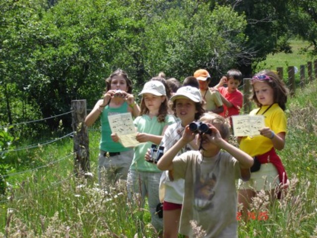 El Naturalismo pedagógico