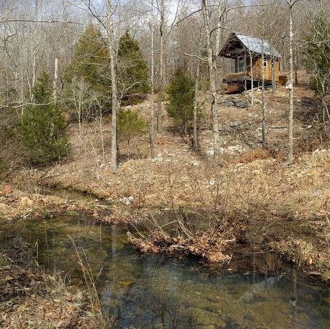 Tiny Cabin In The Woods