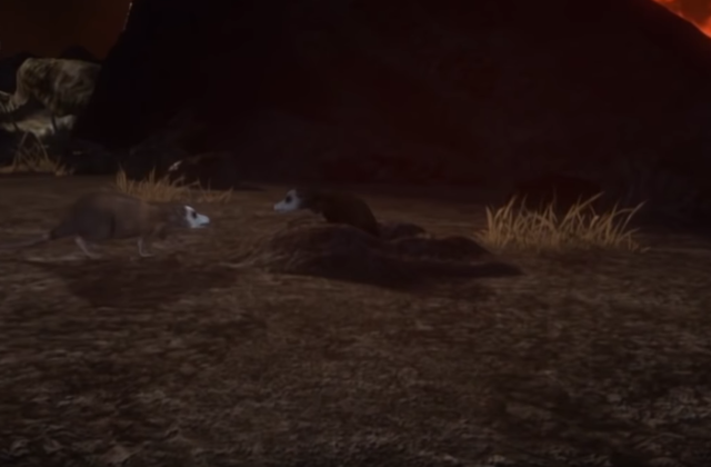 Surgimiento de los mamiferos