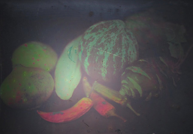 Procedimiento Lippman