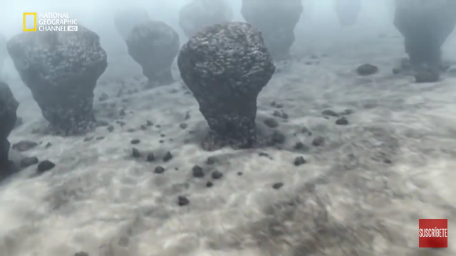 3.5 mil millones de años