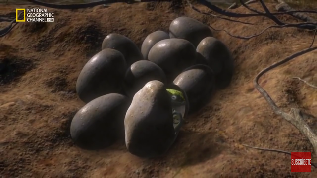 360 millones de años