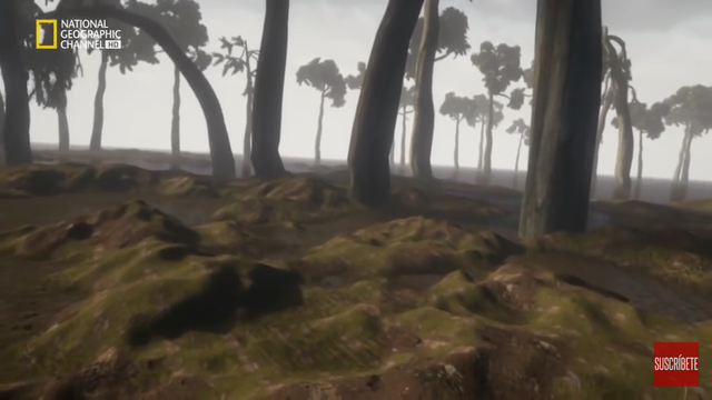 300 millones de años