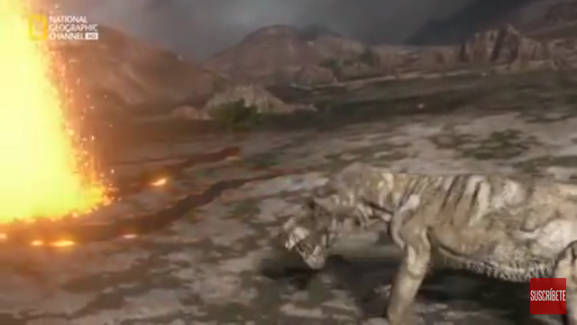 250 millones de años