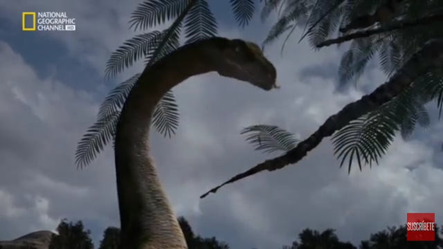 200 millones de años