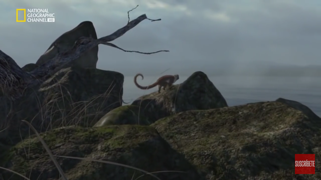 47 millones de años