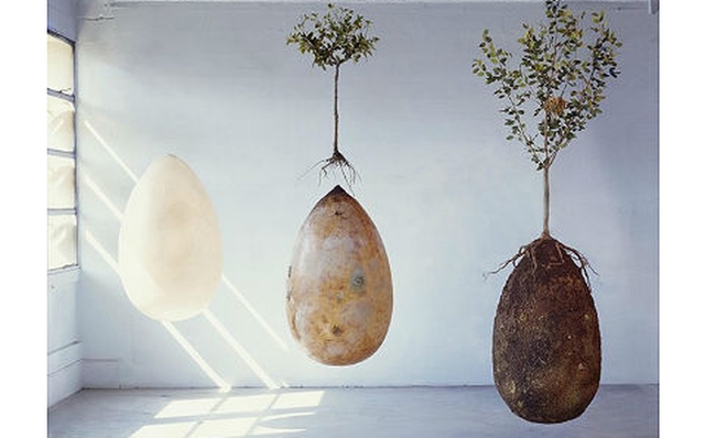 Muertos biodegradables