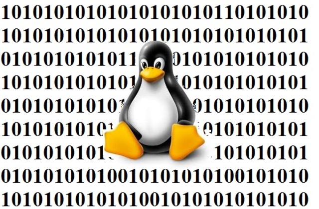 Primer versión del núcleo de Linux.