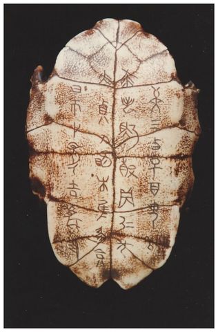 The Development of Writing