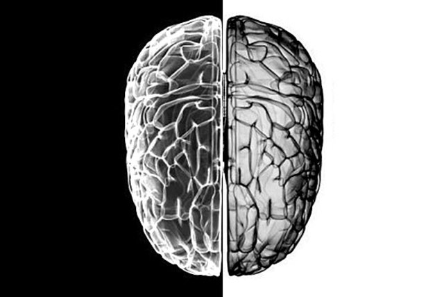 Reaparecen procesos Cognitivos