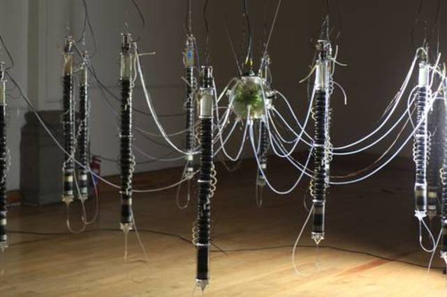 Expo: Cultivos. Artista: Gilberto Esparza.