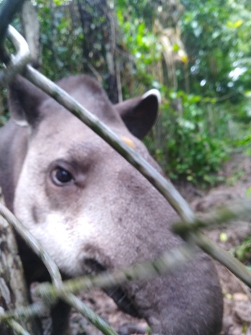 Economic Activity_tourism