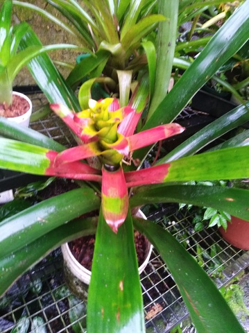 Economic Activity_tourism