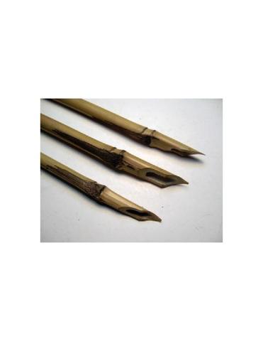 Reed pens
