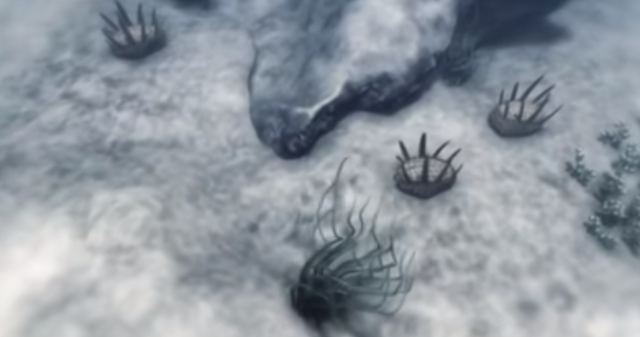 Primeras plantas y seres multicelulares.