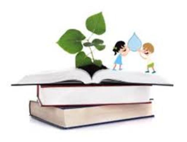 LIBRO BLANCO SOBRE LA RESPONSABILIDAD AMBIENTAL