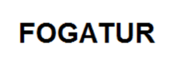 Se crea FOGATUR
