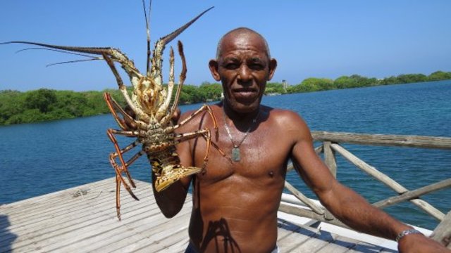 ISLAS DEL ROSARIO...