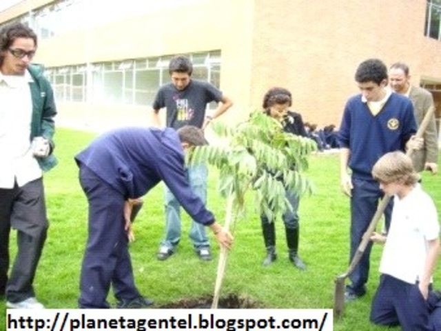 DECRETO LEY 2811 DE 1974