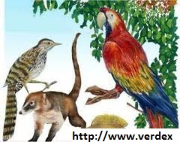 DECRETO 1608 DE 1978