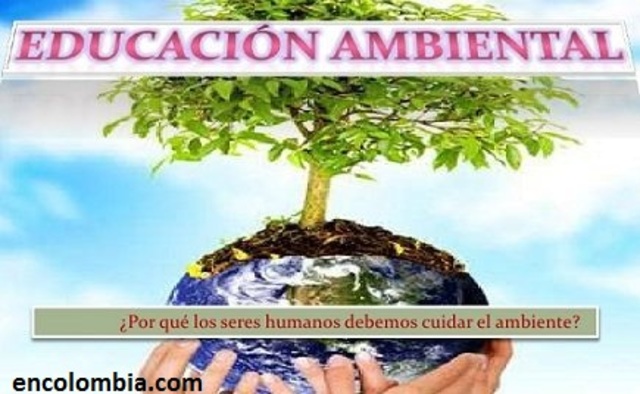 DECRETO 1743 DE 1994