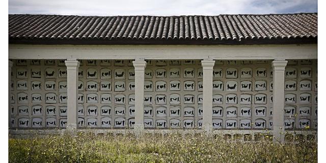 Auras Anónimas - intevención artística en el cementerio central