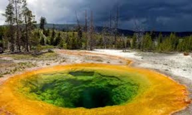 Primeras Reservas Naturales