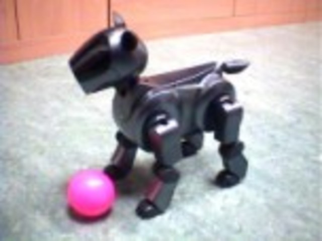 AIBO