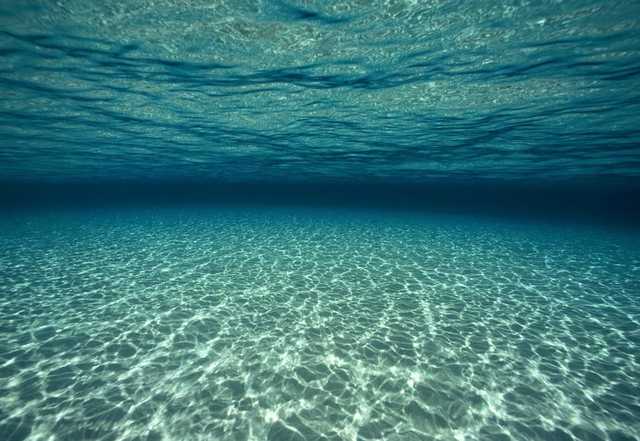 3,8x10^9 Surgen las bacterias unicelulares