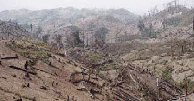 deforestación y erosión