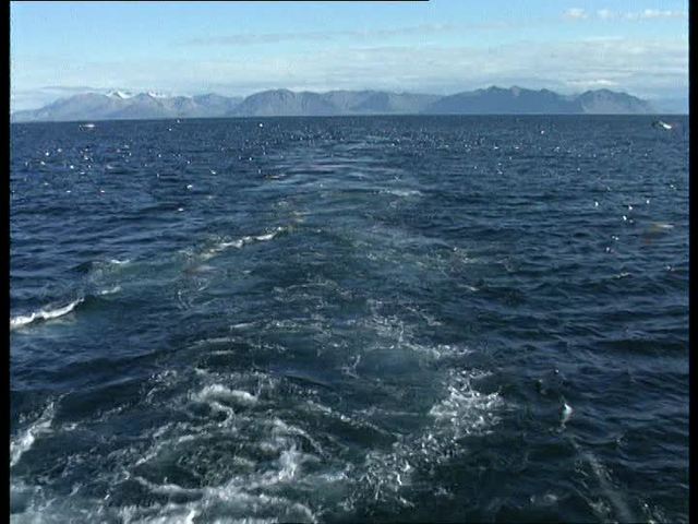 1,8x10^8 La llegada del Océano