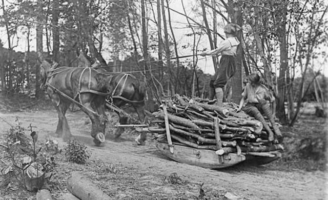 Levantamiento Malayo