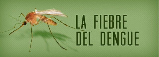 Dengue