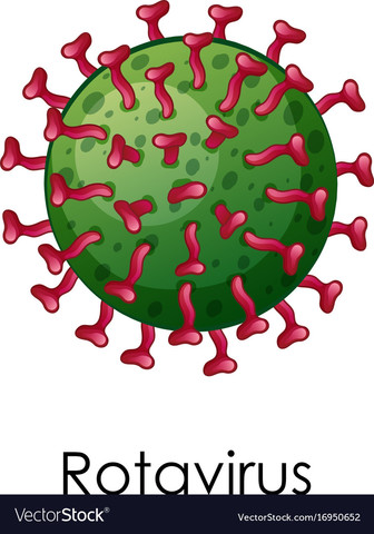Creación - Rotavirus