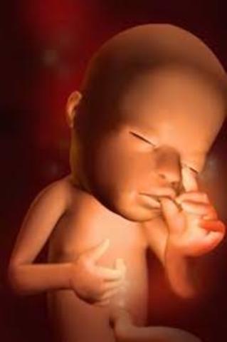 La fecha de mi nacimiento inicia el dia 07 de febrero de 1980