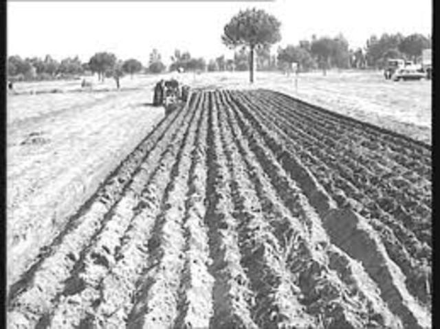 Mi niñez de los seis años a los once me trae buenos recuerdos