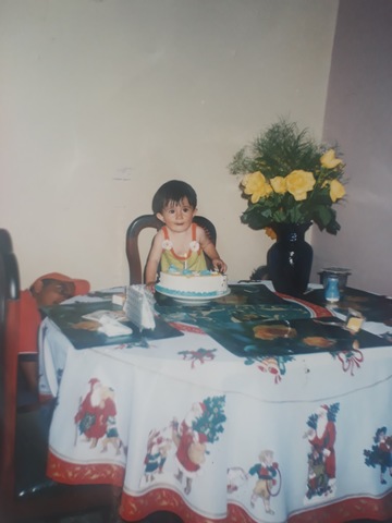 Mi primer año