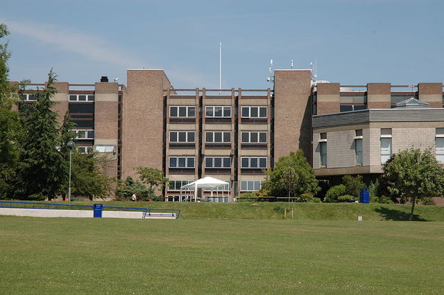 Cuando entre a la universidad