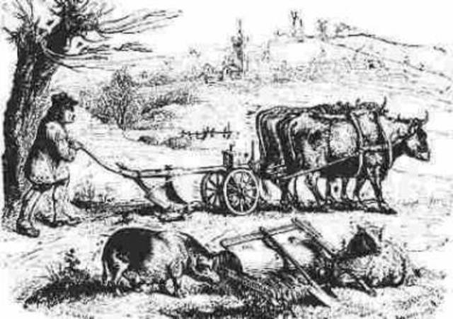 Agricultra antigua  T.K Derry y Trevor: la historia de la tecnología desde la antigüedad hasta el año 1750 MEXICO 1987