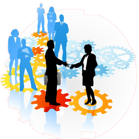 iniciativa de institucionalización y profesionalización