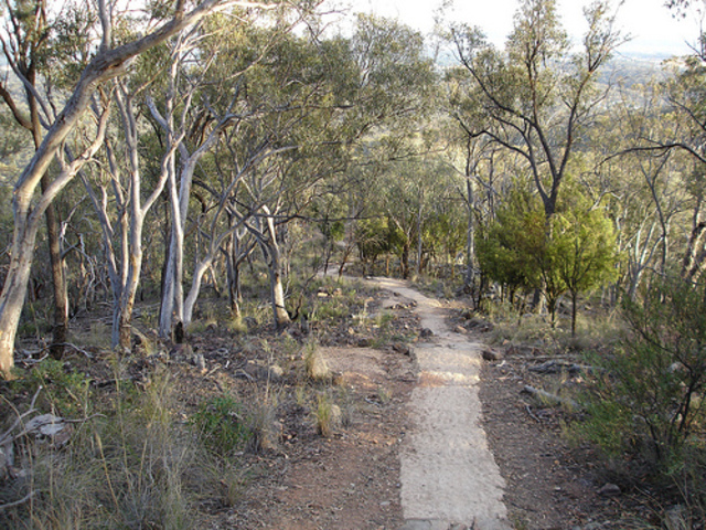 Walking up the mountain